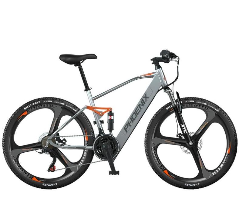 29 E-Bike Adventure